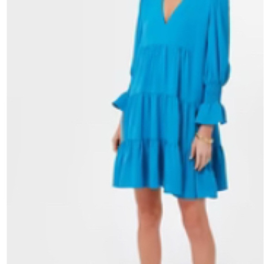 Tuckernuck Vibrant Blue Long Sleeve Dress
